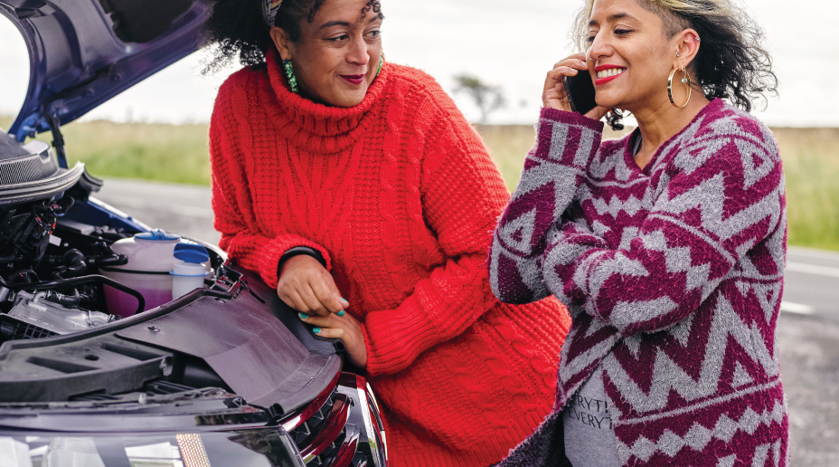 useful description of image if informative and not decoration only.