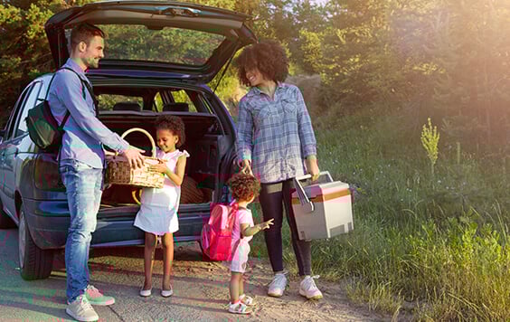 family of four with a picnic standing outside a car