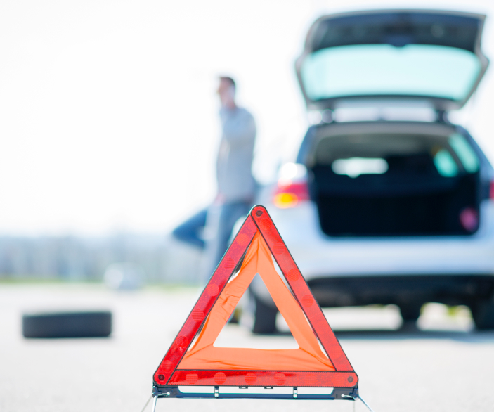 useful description of image if informative and not decoration only.